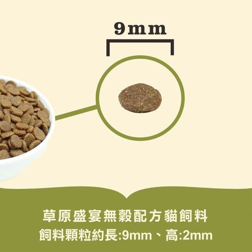 【喵爺】ACANA愛肯拿 無穀貓糧系列 幼貓飼料 成貓飼料 高齡貓飼料 全齡貓飼料 寵物飼料 貓咪飼料 貓飼料-細節圖8