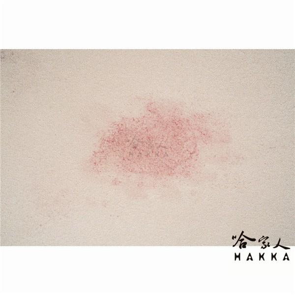 美國原裝 303 神奇去漬劑 地毯 室內裝飾 污漬 油漬 油脂 墨水 沙發 廚房 斑點 水漬 哈家人-細節圖7