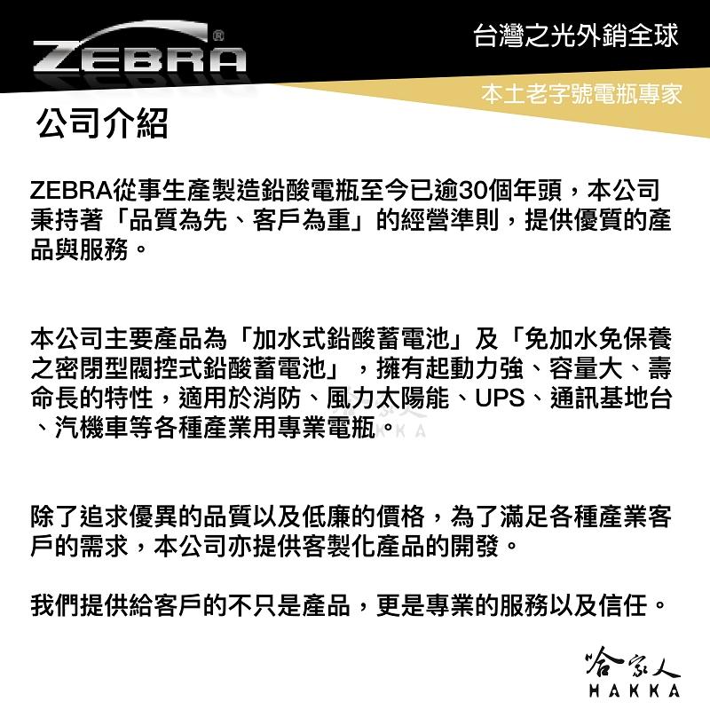 ZEBRA ZTX5L 機車電池 免加水 台灣製造 摩托車電池 GTX5L-BS YTX5L-BS 5號電池 電瓶 哈家-細節圖5