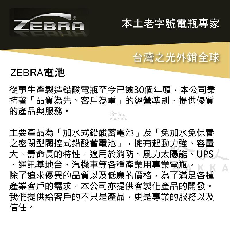 ZEBRA ZTX5L 機車電池 免加水 台灣製造 摩托車電池 GTX5L-BS YTX5L-BS 5號電池 電瓶 哈家-細節圖6