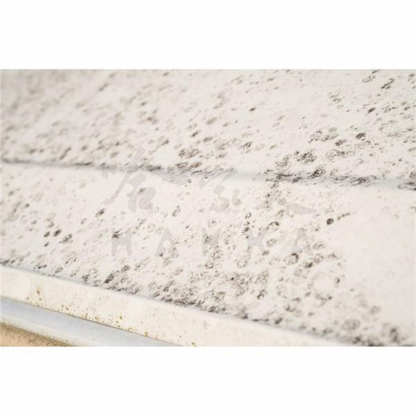 美國原裝 303 防黴清潔保護劑 廁所清潔 磁磚清潔 黴菌 霉菌髒污 防霉 抗黴 浴室清潔 473ml 哈家人-細節圖7