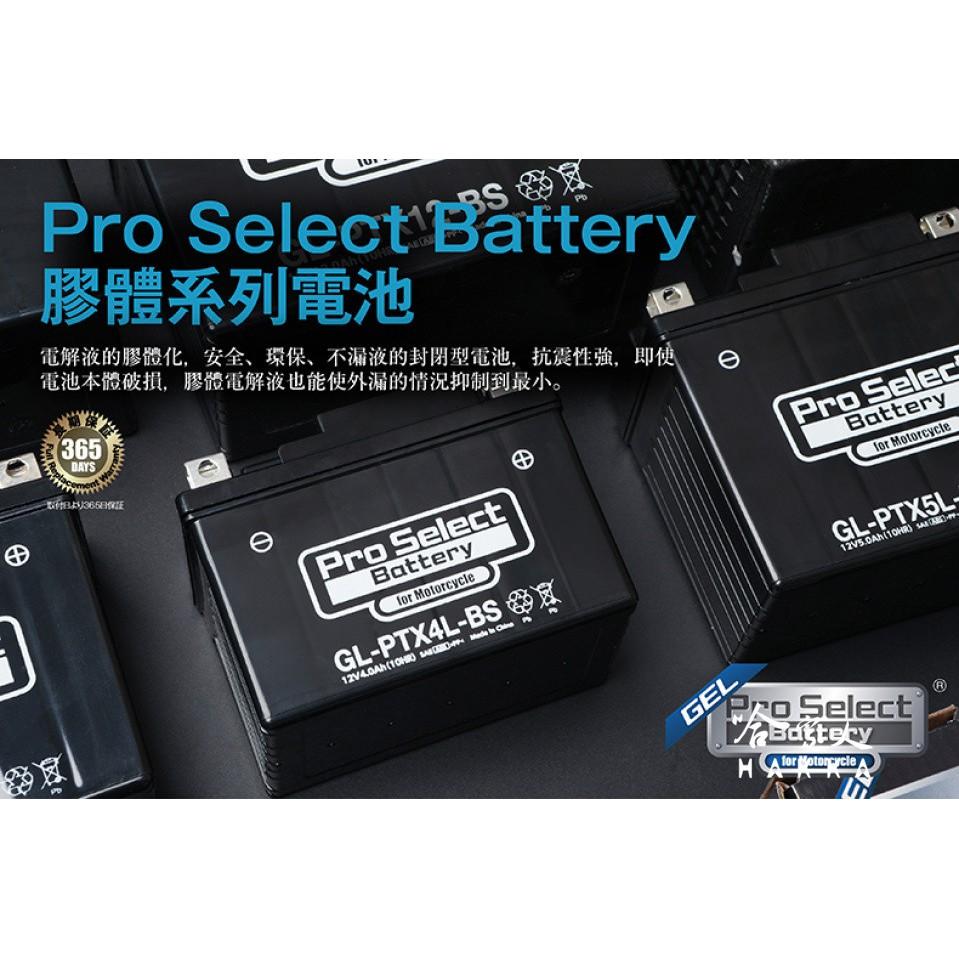 PRO SELECT BATTERY  奈米膠體電池 PT7B-4 機車 YT7B-BS 薄型 7號 重機 電瓶 哈家人-細節圖7