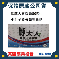 ~ 補對關鍵期 ~ 安博氏 轉大人龜鹿人蔘膠囊 60粒+小分子酪蛋白螯合鈣60粒