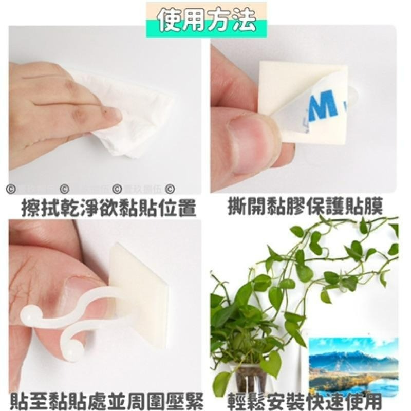 植物 攀爬 爬牆 免打孔 固定器 理線器 整理《1985life 生活》盆栽生長 盆栽攀爬 藤蔓植物 向上生長植物 種花-細節圖6