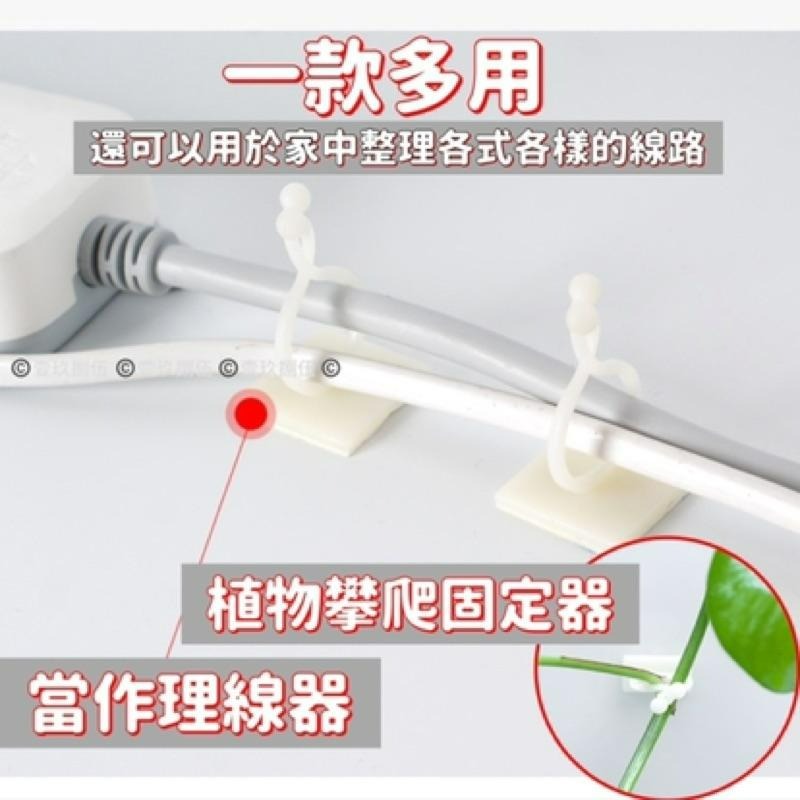 植物 攀爬 爬牆 免打孔 固定器 理線器 整理《1985life 生活》盆栽生長 盆栽攀爬 藤蔓植物 向上生長植物 種花-細節圖8