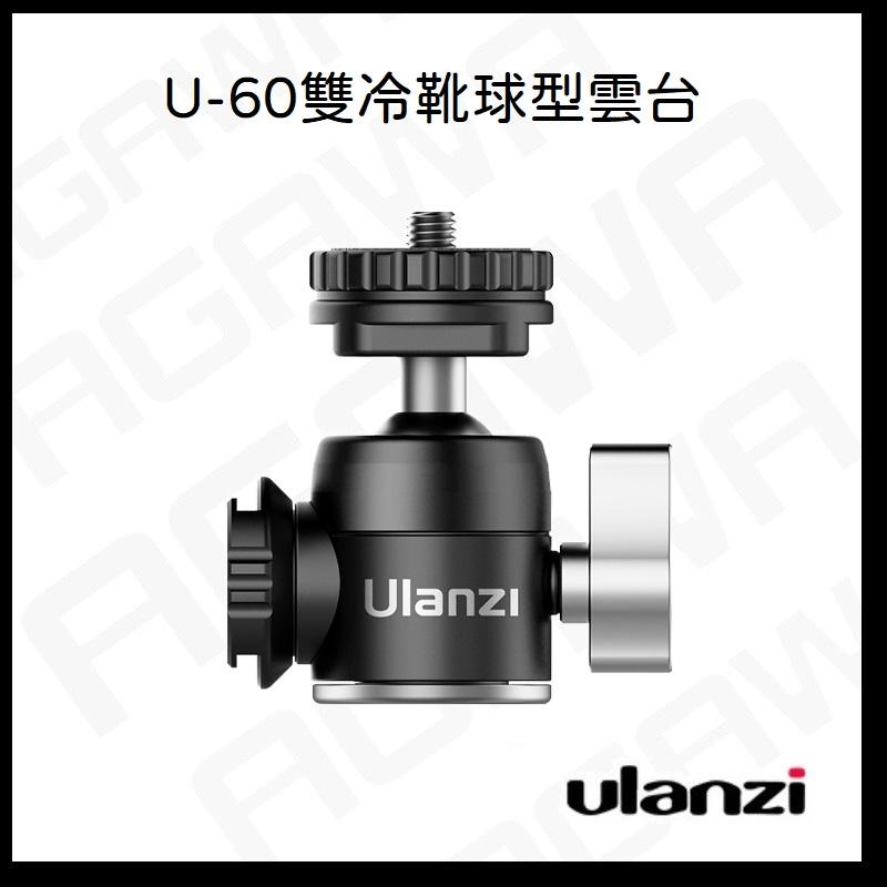 台南現貨 Ulanzi U-60 迷你 冷靴 金屬 小雲台 球型雲台 U60 G7X-細節圖2