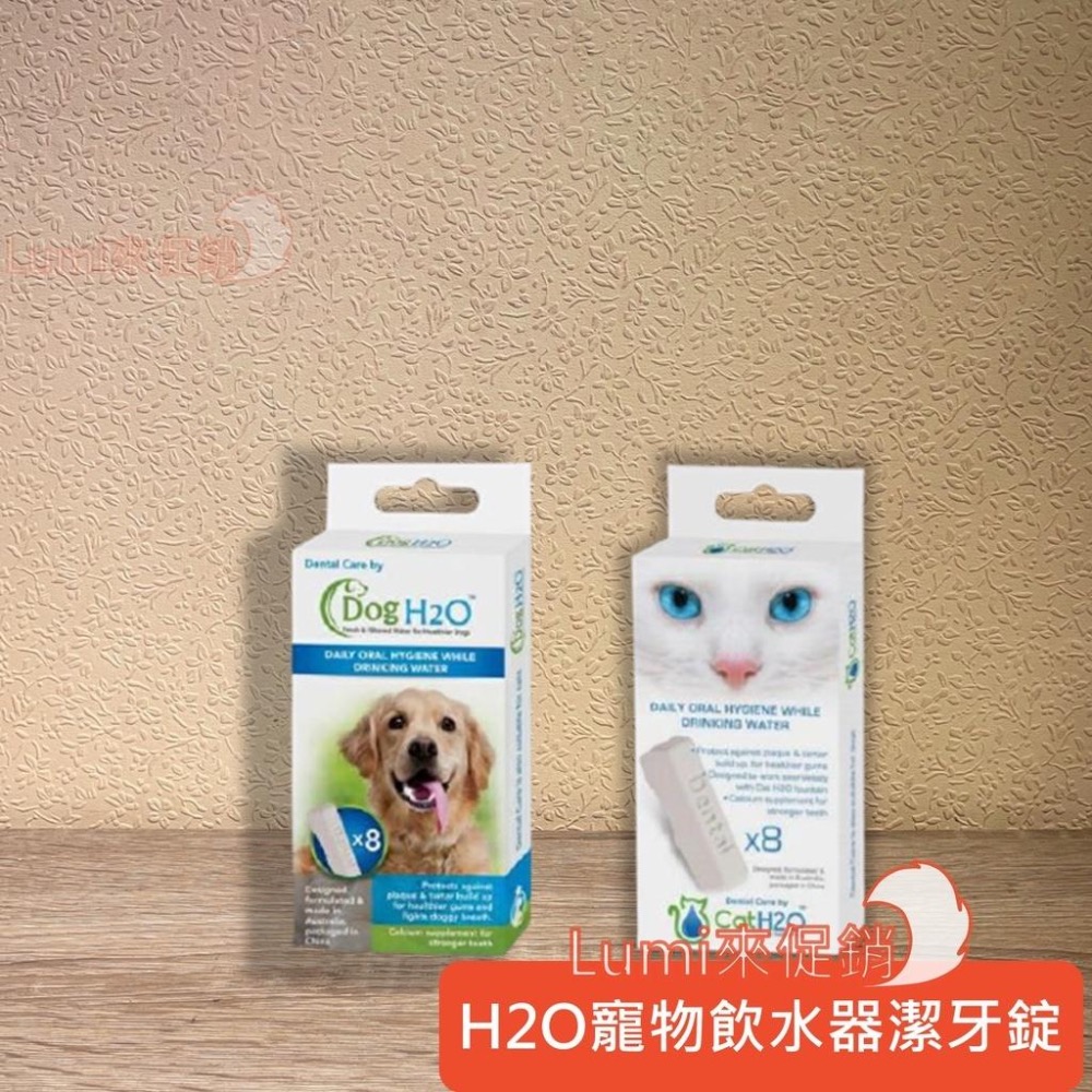 [Lumi來促銷]二代/Dog&CatH2O/有氧濾水機/犬貓寵物循環自動飲水器/2公升/濾芯/潔牙錠/濾心-細節圖3