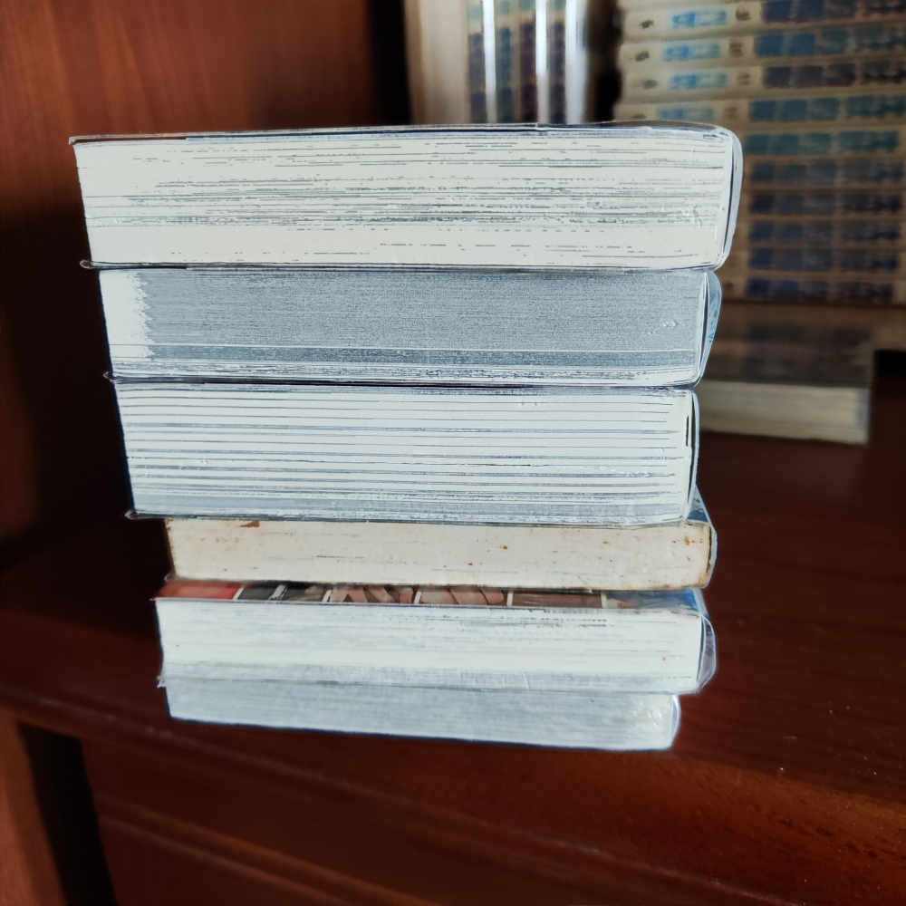 【漫畫】航海王 公式集5本 皆自購新書，有書套-細節圖6