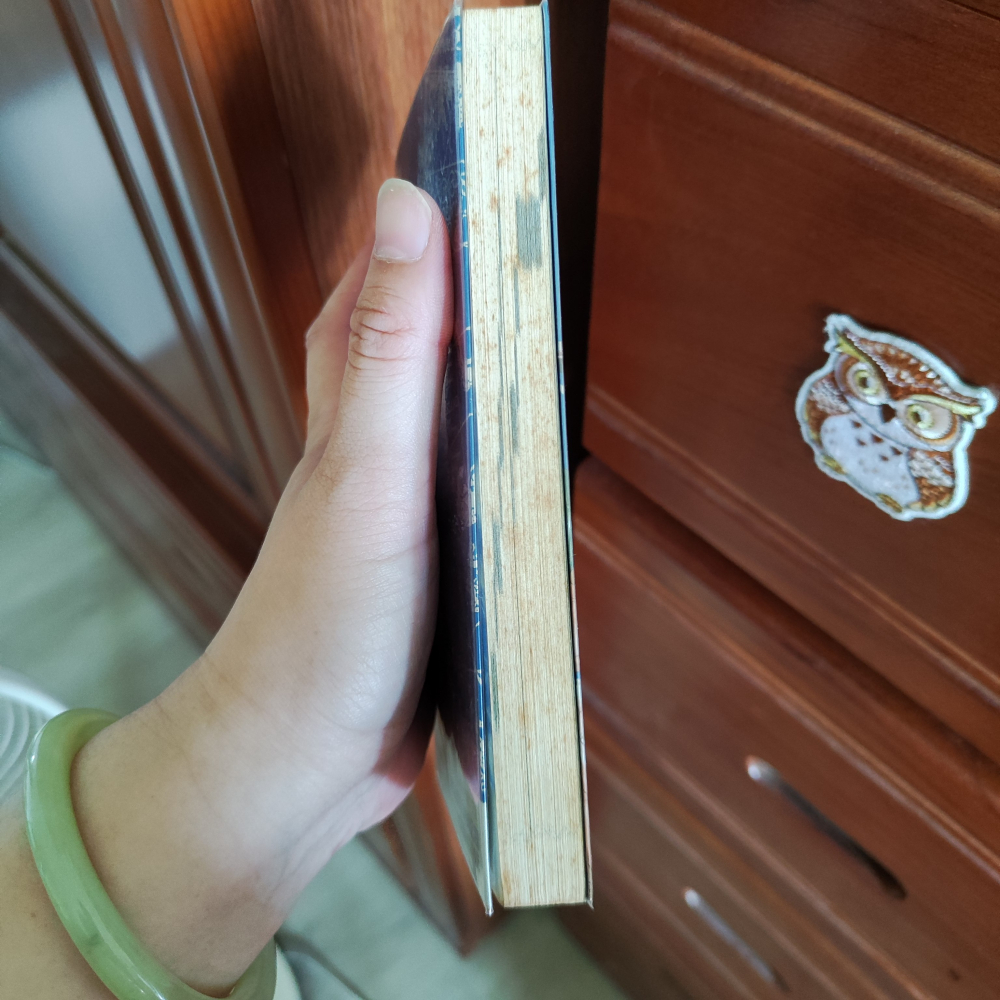 【漫畫】航海王 公式集5本 皆自購新書，有書套-細節圖7