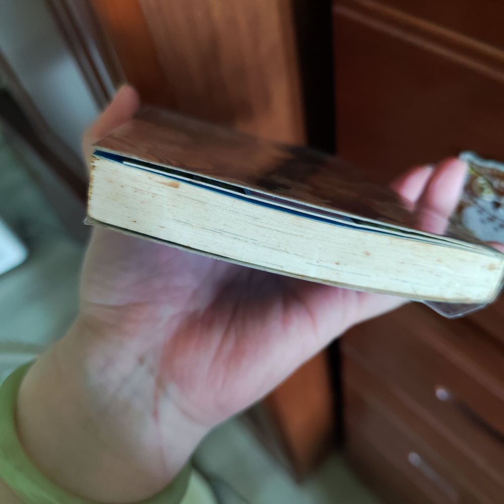 【漫畫】航海王 公式集5本 皆自購新書，有書套-細節圖8