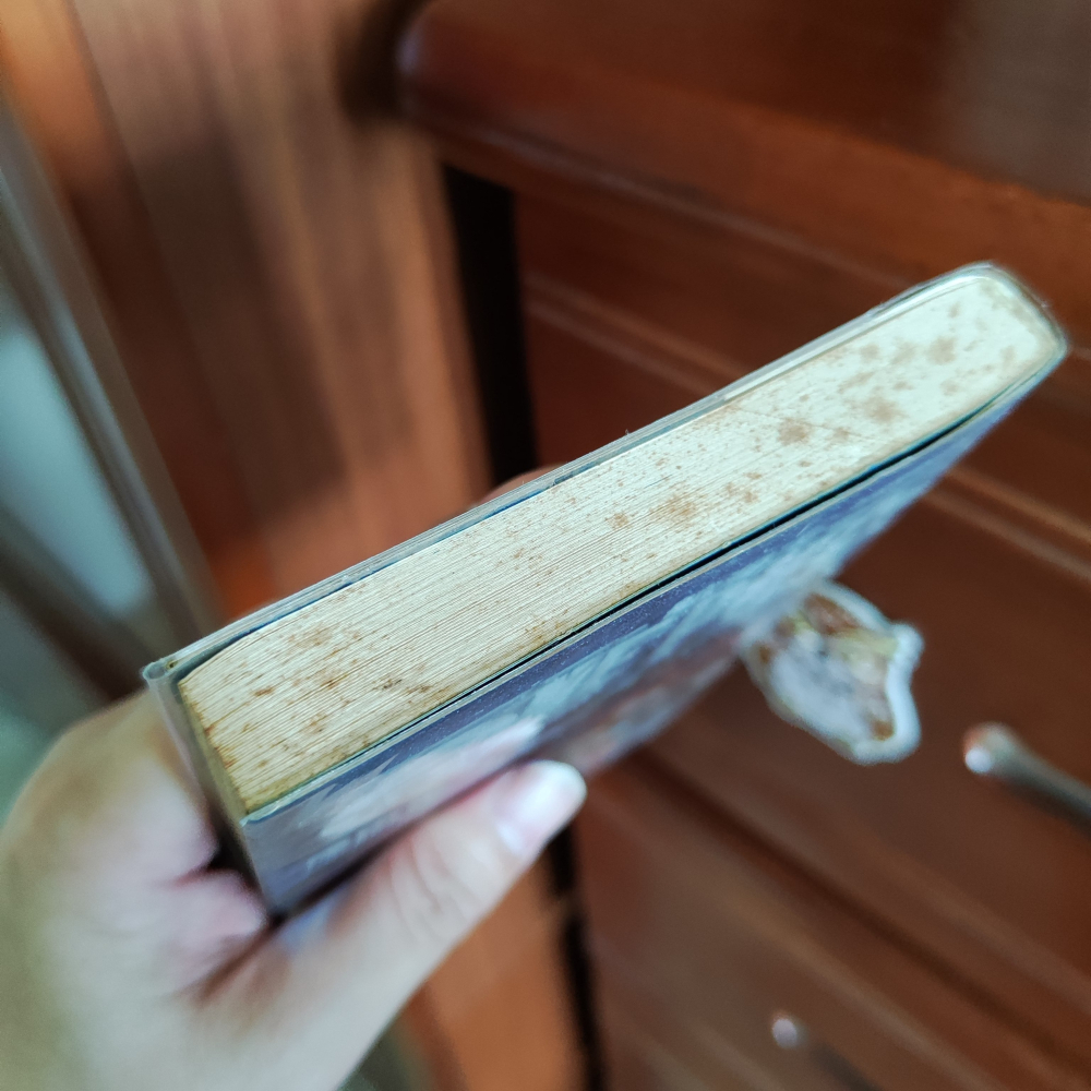 【漫畫】航海王 公式集5本 皆自購新書，有書套-細節圖9