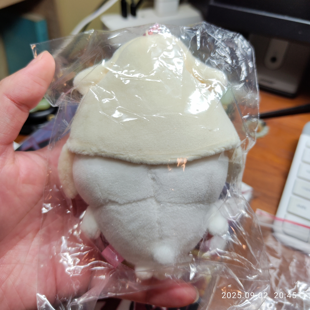 【公仔】日本境內版 正版 Chiikawa 吉伊卡哇 ちいかわ水族館 イカしてるねちいかわマスコット 穿著花枝披風的吉伊-細節圖2