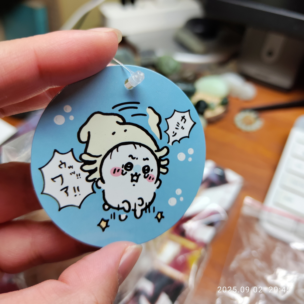 【公仔】日本境內版 正版 Chiikawa 吉伊卡哇 ちいかわ水族館 イカしてるねちいかわマスコット 穿著花枝披風的吉伊-細節圖3