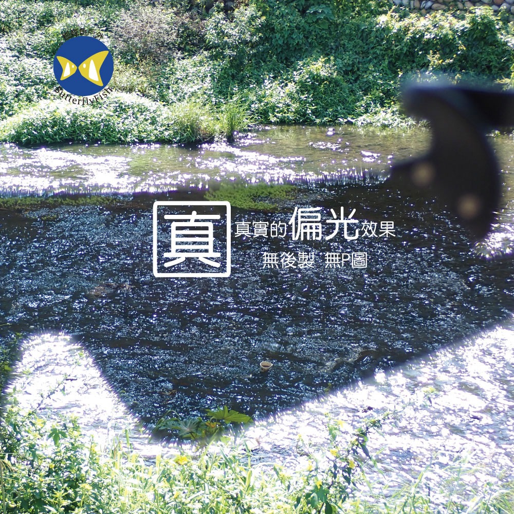 台灣製 蝴蝶魚 JP42P 寶麗來偏光 可掀式 抗UV 帽夾 太陽眼鏡 附擦拭布+布套,適合高爾夫 球類 釣魚使用-細節圖2