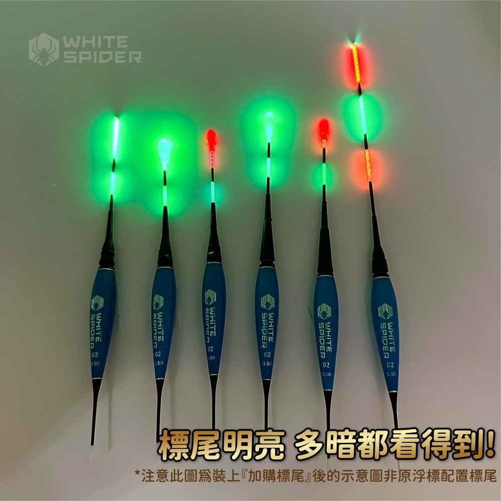 【W.S釣具-現貨速出🔥】電子浮標 、釣蝦電子浮標、可換尾電子浮標 、釣蝦、電子蝦標 、蝦波、蝦標 台灣現貨-細節圖8