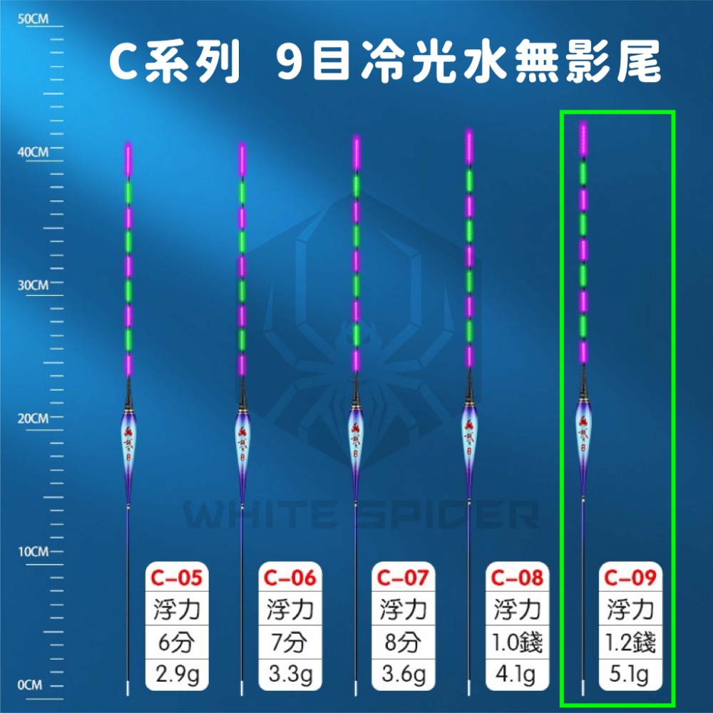 【W.S釣具-現貨快速出🔥】電子浮標、可換尾電子浮標、電子標、池釣浮標、釣蝦標、夜釣浮標、池釣、夜釣~台灣出貨!-規格圖9