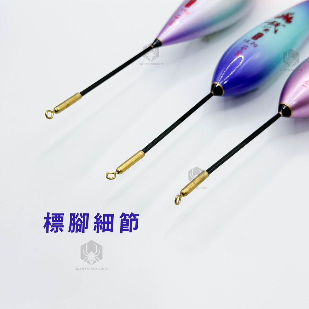 【W.S釣具-零碼出清😍】海釣電子浮標、短籤磯釣電子浮標、海釣場浮標、池釣電子浮標、夜釣浮標、零碼出清、台灣出貨-細節圖6