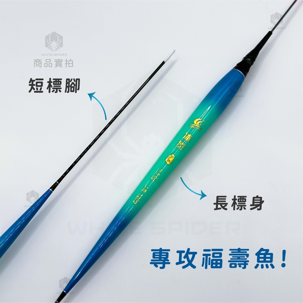 【W.S釣具-零碼出清😍】海釣電子浮標、短籤磯釣電子浮標、海釣場浮標、池釣電子浮標、夜釣浮標、零碼出清、台灣出貨-細節圖9