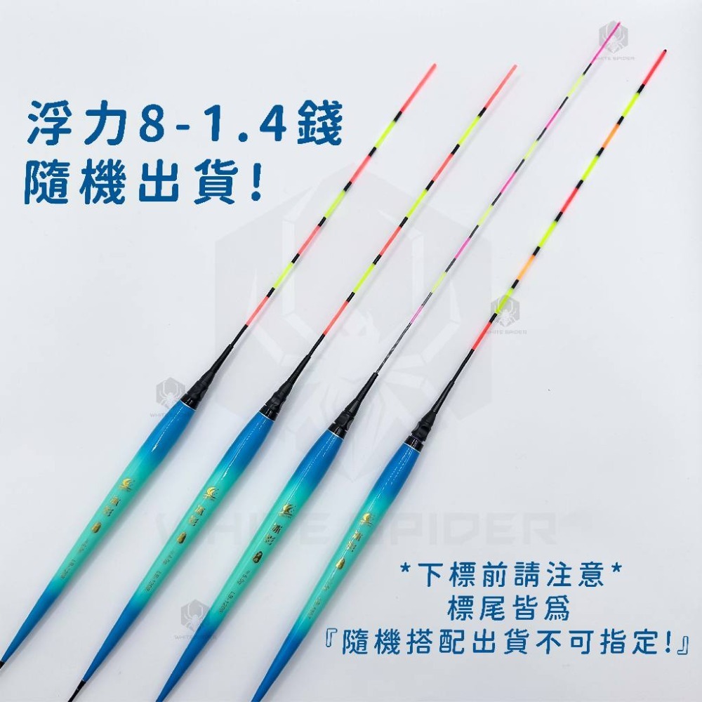 【W.S釣具-零碼出清😍】海釣電子浮標、短籤磯釣電子浮標、海釣場浮標、池釣電子浮標、夜釣浮標、零碼出清、台灣出貨-規格圖9