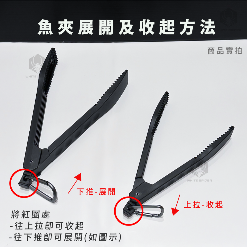 ✨日本第一精工-現貨✨ 魚夾、2024新款、強力魚夾、DAIICHISEIKO、白帶魚夾、夾魚不沾手、夾魚器、日本製-細節圖4