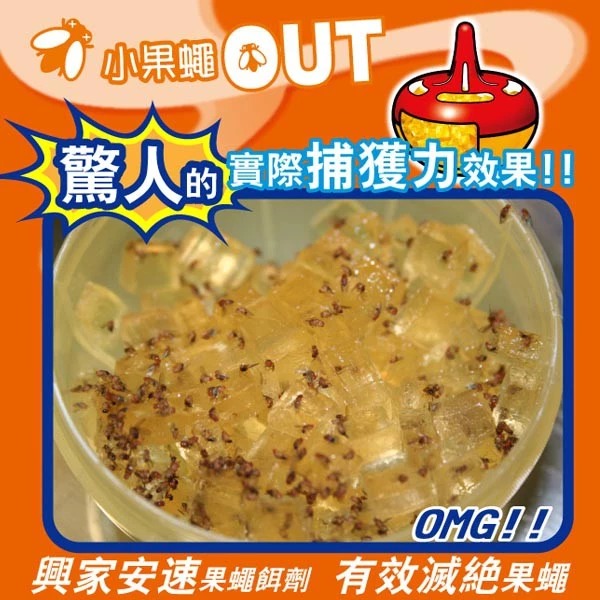 興家安速 果蠅餌劑 38g-細節圖6
