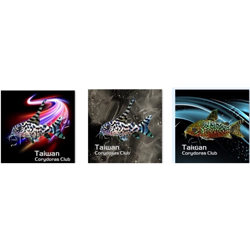 鼠魚玩家手冊-細節圖2