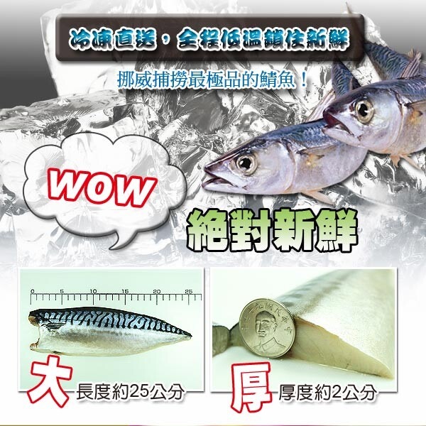 挪威鹽漬鯖魚片-細節圖6