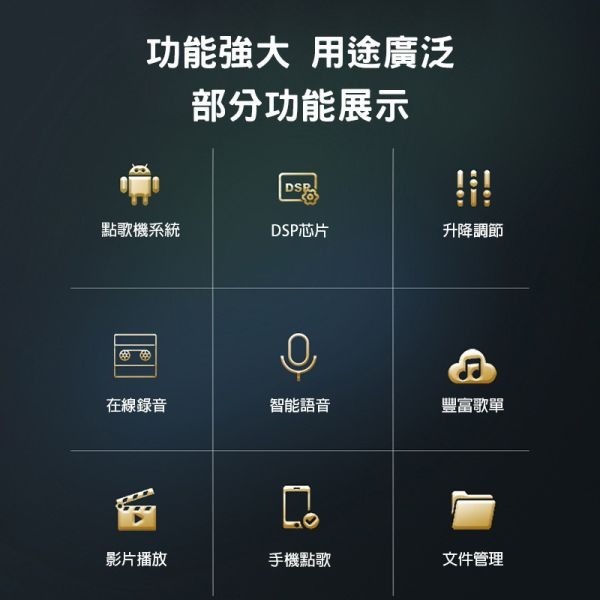 里歐街機 2024年新款 19.5吋2t音皇點歌機 AI智能語音點歌 內建擴大機 智能KTV 多種點歌方式 Yt點歌-細節圖3