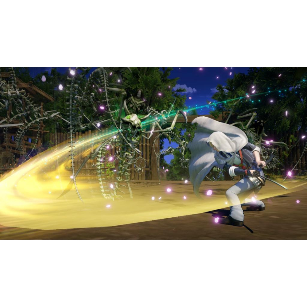 NS Switch 刀劍亂舞 無雙 全新 中文版 現貨 無雙系列 另類玩法-細節圖2