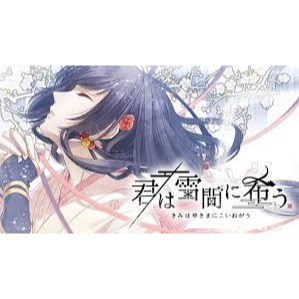 『請先私訊』NS Switch 君於雪中希冀 現貨 中文版 二手 少女 劇情-細節圖3