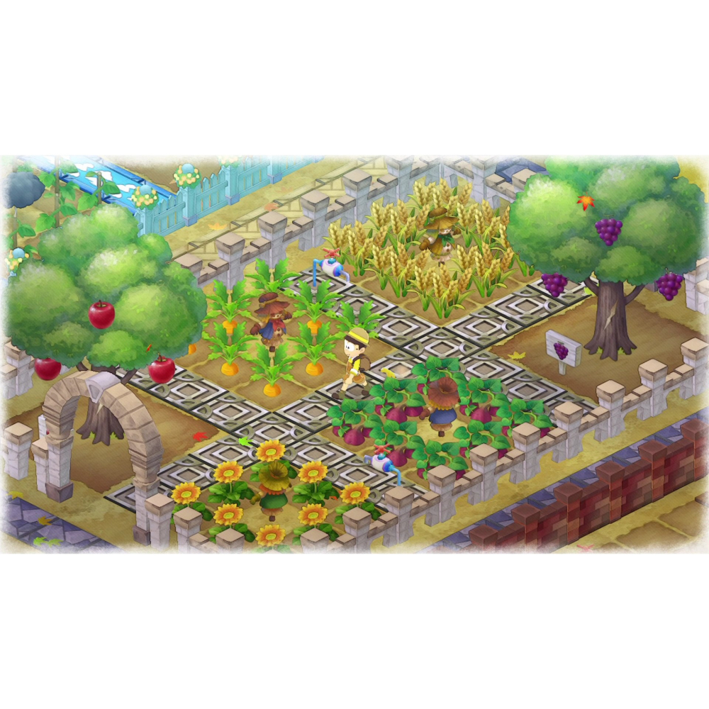 NS Switch 哆啦A夢 牧場物語 2 自然王國與和樂家人 二手 中文版 現貨 機器貓 大雄 胖虎 靜香 任意門-細節圖3