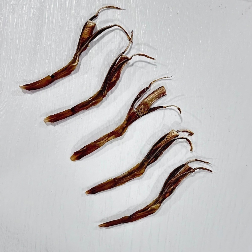 【寵物零食】鴨舌頭-細節圖2