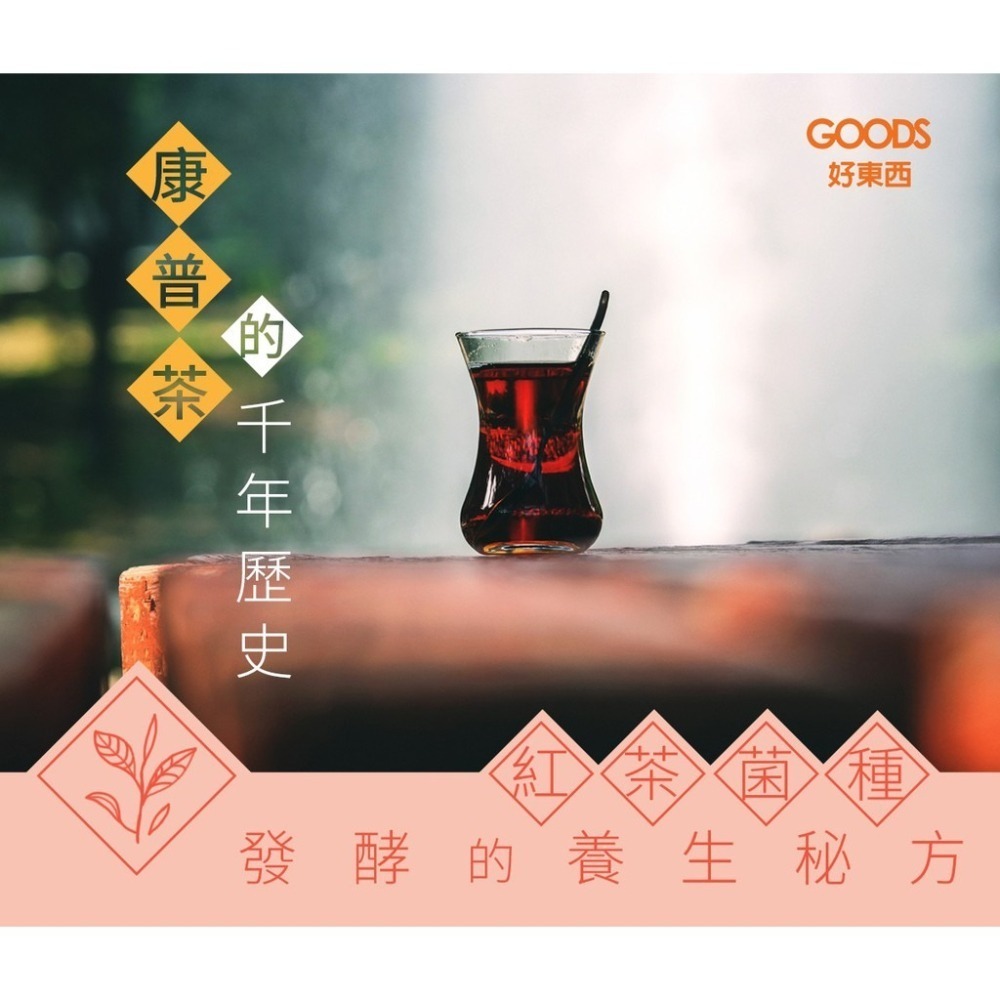 【咕嚕茶】活酵康普茶(6瓶) 禮盒裝 紅茶菌發酵微氣泡飲 與愛之味共同研發-細節圖4