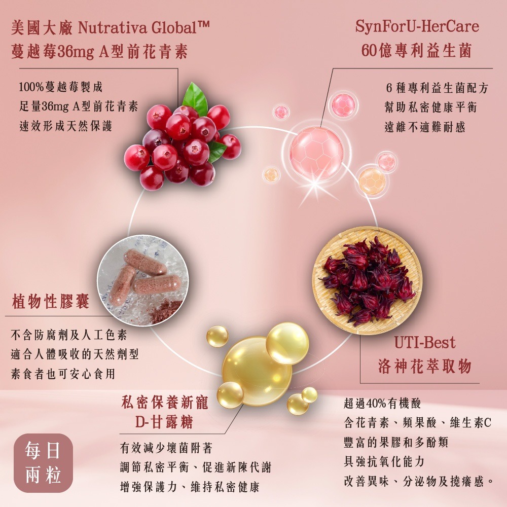 台灣現貨🎀蔓越莓膠囊 蔓越莓 私密處保養 私密益生菌 女性保健食品 私密香 私密保健 蔓越莓益生菌 蔓越莓保養-細節圖5