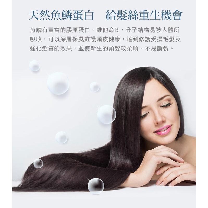 ㊣100%保證㊣魚鱗蛋白修護精靈 魚鱗膠原蛋白-細節圖2