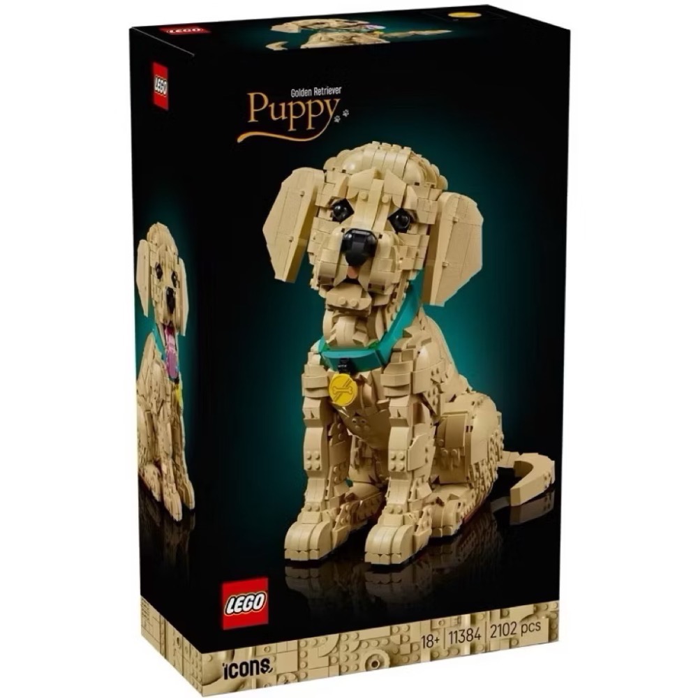 《蘇大樂高》LEGO 11384 小黃金獵犬 （全新）-細節圖2