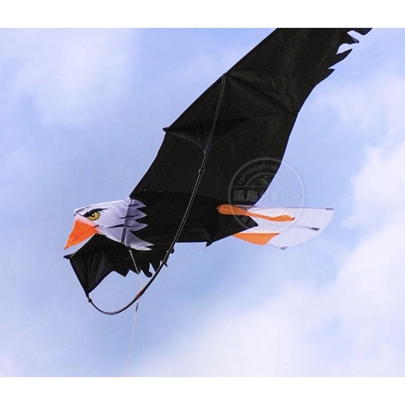 3D立體白頭鷹造型風箏（2米前桿式）附線圈-細節圖2