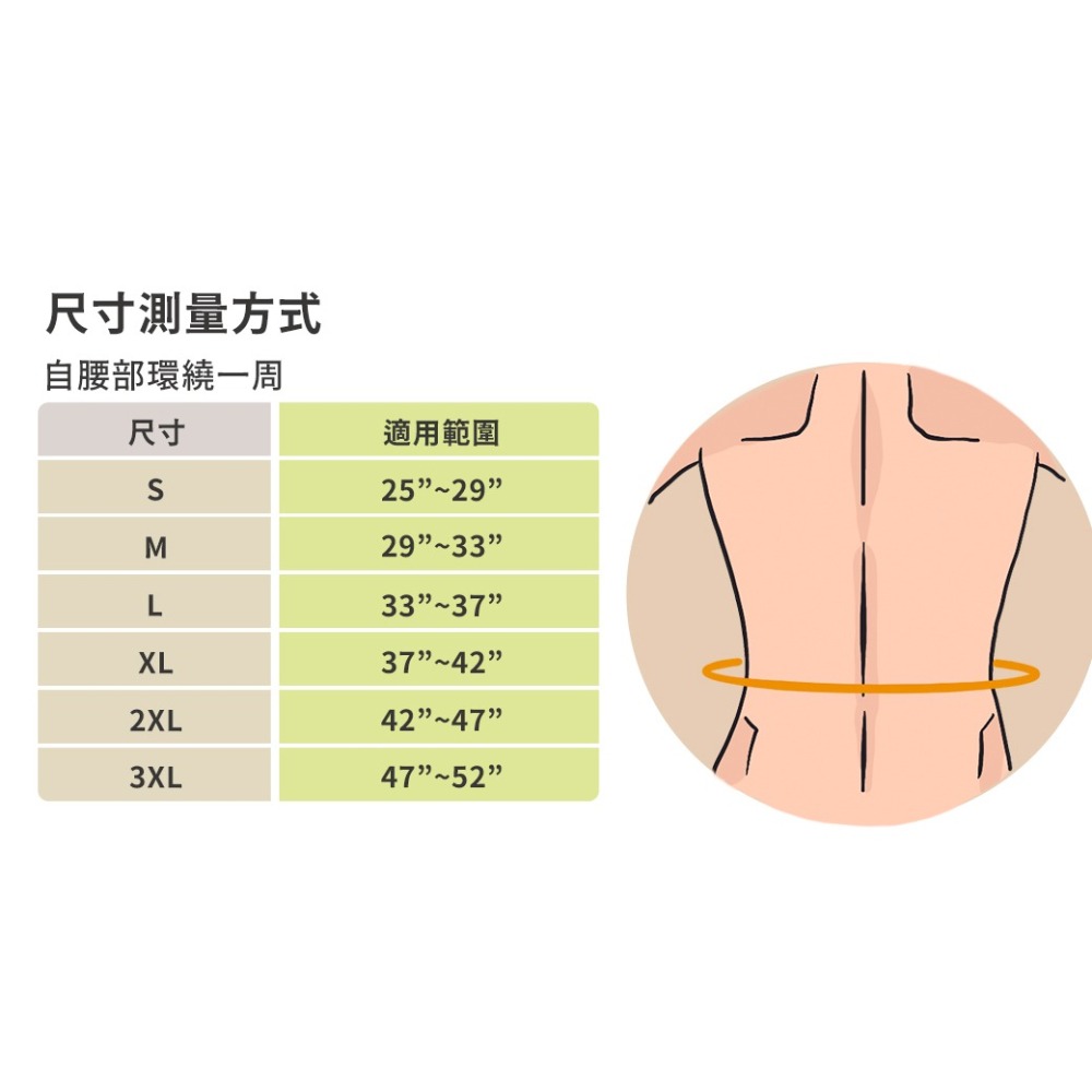 【SENTEQ】台灣製造 現貨 護腰 護背帶 護脊椎 背脊姿勢矯正 駝背矯正  脊椎不正矯正 支撐挺背帶 正公司貨-細節圖6