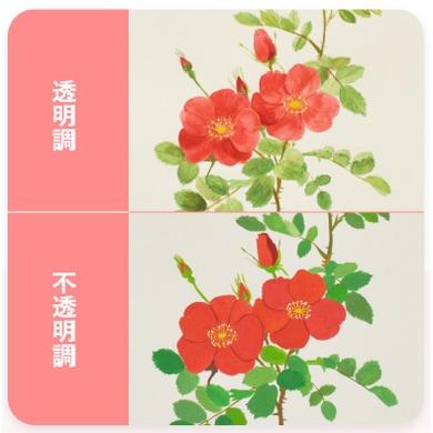 松林_日本櫻花不透明水彩 sakura麥脫水彩 12ml  單色26色 sakura mat watercolors-細節圖6