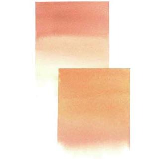 松林-好賓牛膽汁/60ml-W475-細節圖3