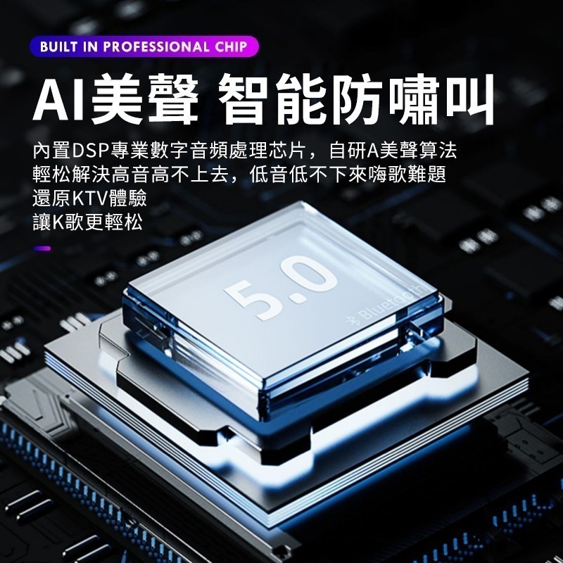 【FP嚴選】官方正品無線K歌 家庭KTV一體套裝 雙麥 藍牙音響 K歌神器 藍芽雙麥克風k歌音箱【C1-00366】-細節圖8
