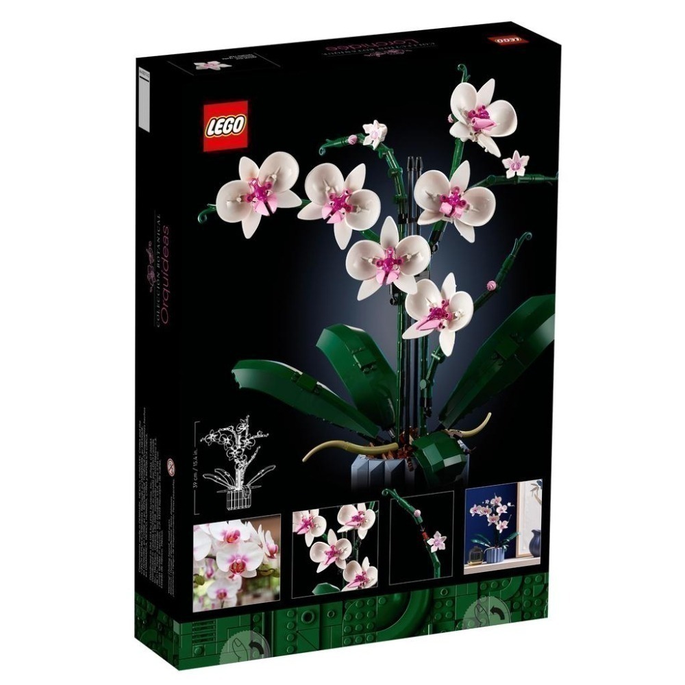 [一起樂]LEGO 10311蘭花-細節圖2