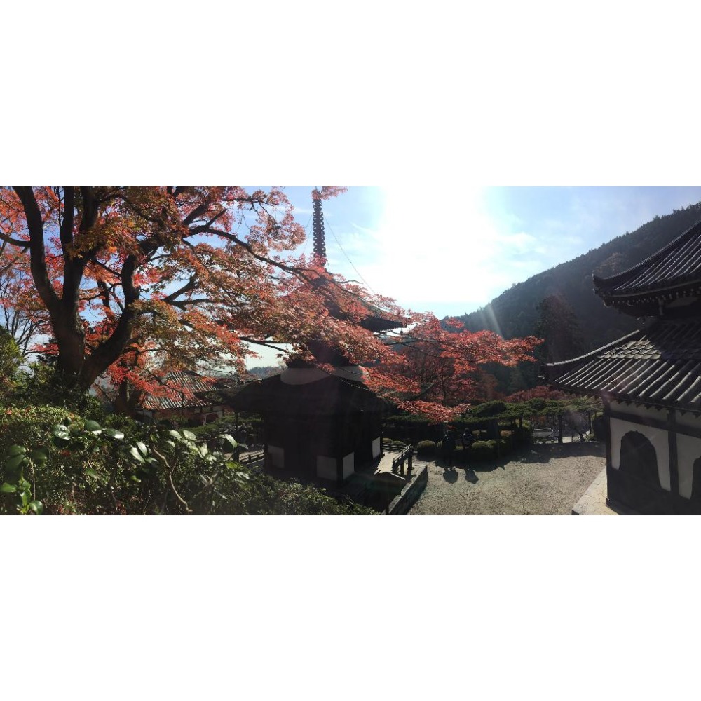 [宅米的窩] 一物一圖 供奉日本學問之神 菅原道真 手刻觀音 東向觀音寺  古材念珠 難得限定商品 洛陽三十三所観音霊場-細節圖9