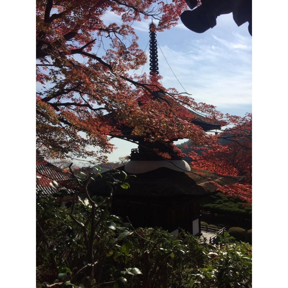 [宅米的窩]日本佛教聖地 高野山金剛峯寺 限定香 整盒組 一品千年古剎名山的空靈氣場-細節圖6