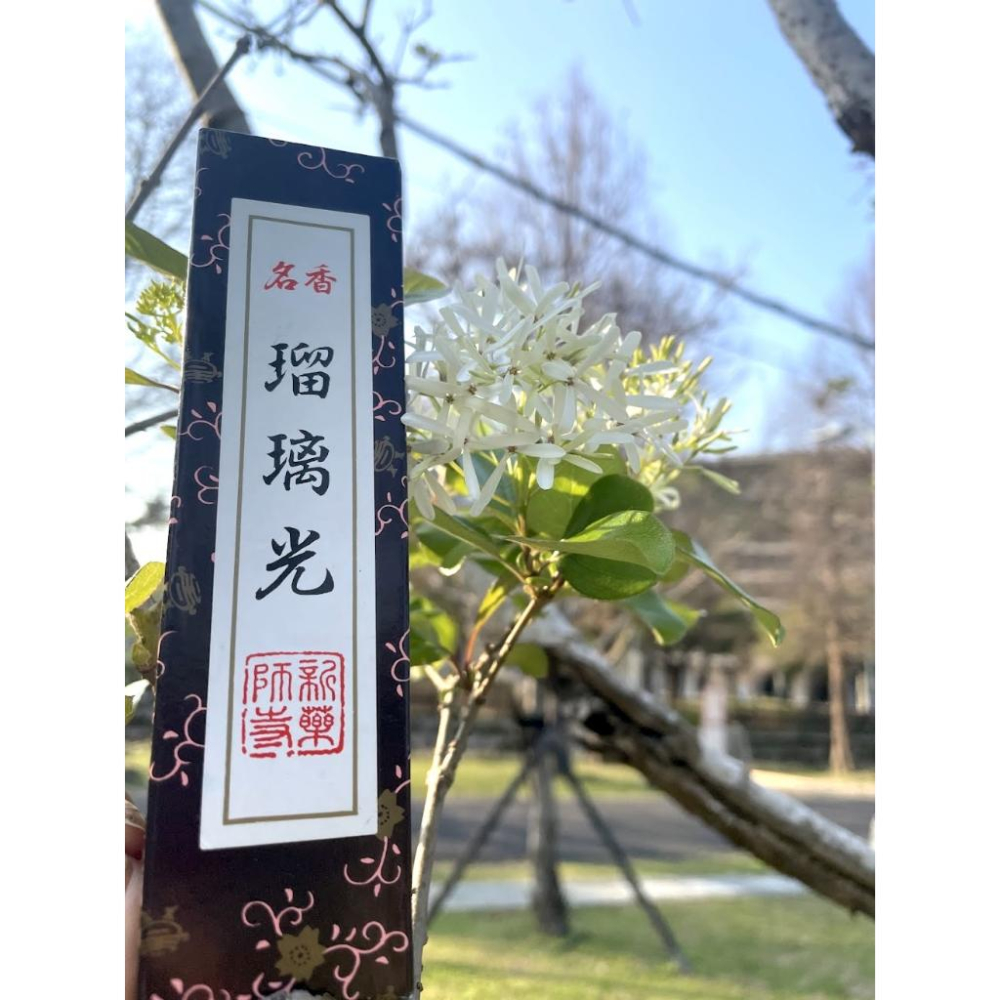 [宅米的窩] 奈良新藥師寺 琉璃光  古剎名香 難得精品好香  療鬱放鬆 日本寺院線香  整盒組-細節圖3