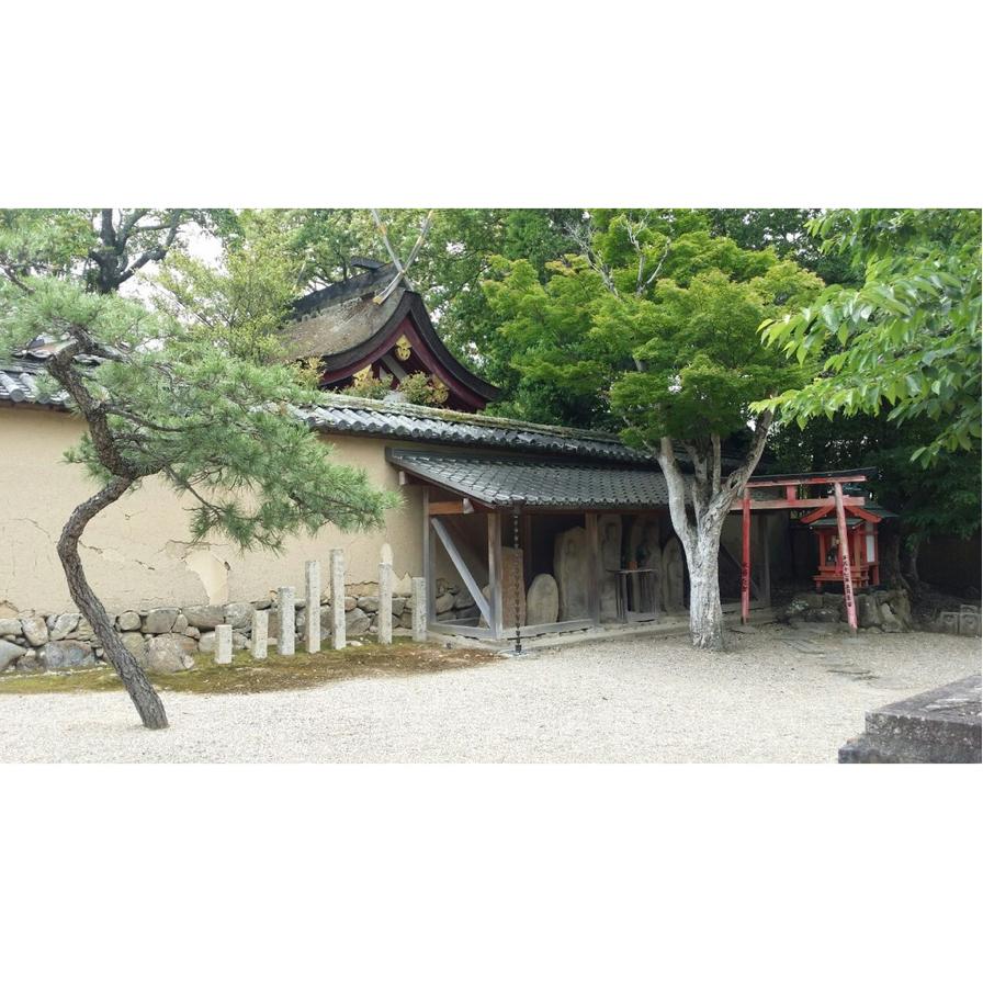 [宅米的窩] 奈良新藥師寺 琉璃光  古剎名香 難得精品好香  療鬱放鬆 日本寺院線香  整盒組-細節圖7