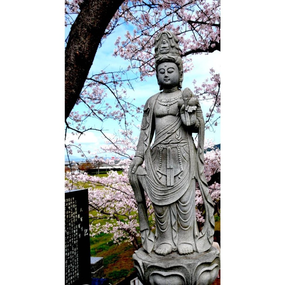 [宅米的窩] 金戒光明寺 吉備觀音 梵字 檜木念珠 一物一圖 京唸珠 日本念珠 手串-細節圖6