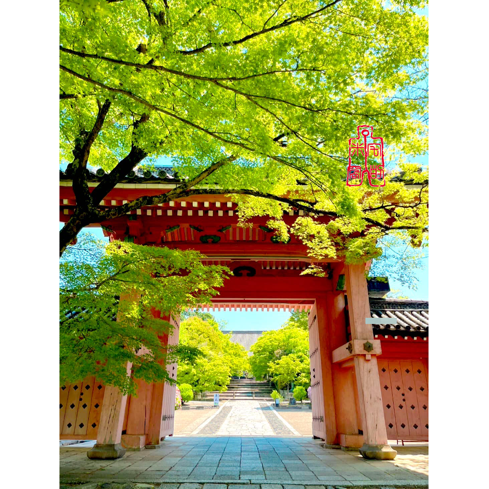 [宅米的窩] 金戒光明寺 吉備觀音 梵字 檜木念珠 一物一圖 京唸珠 日本念珠 手串-細節圖8