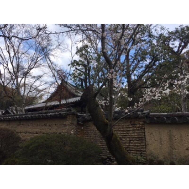 [宅米的窩] 療癒靜心好香 唐招提寺 鑑真香 整盒組 日本線香 日本限量限定夢幻香-細節圖8