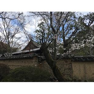 [宅米的窩］京都東本願寺限定線香 線香沈香 線香白檀 日本寺廟線香 整盒組-細節圖7